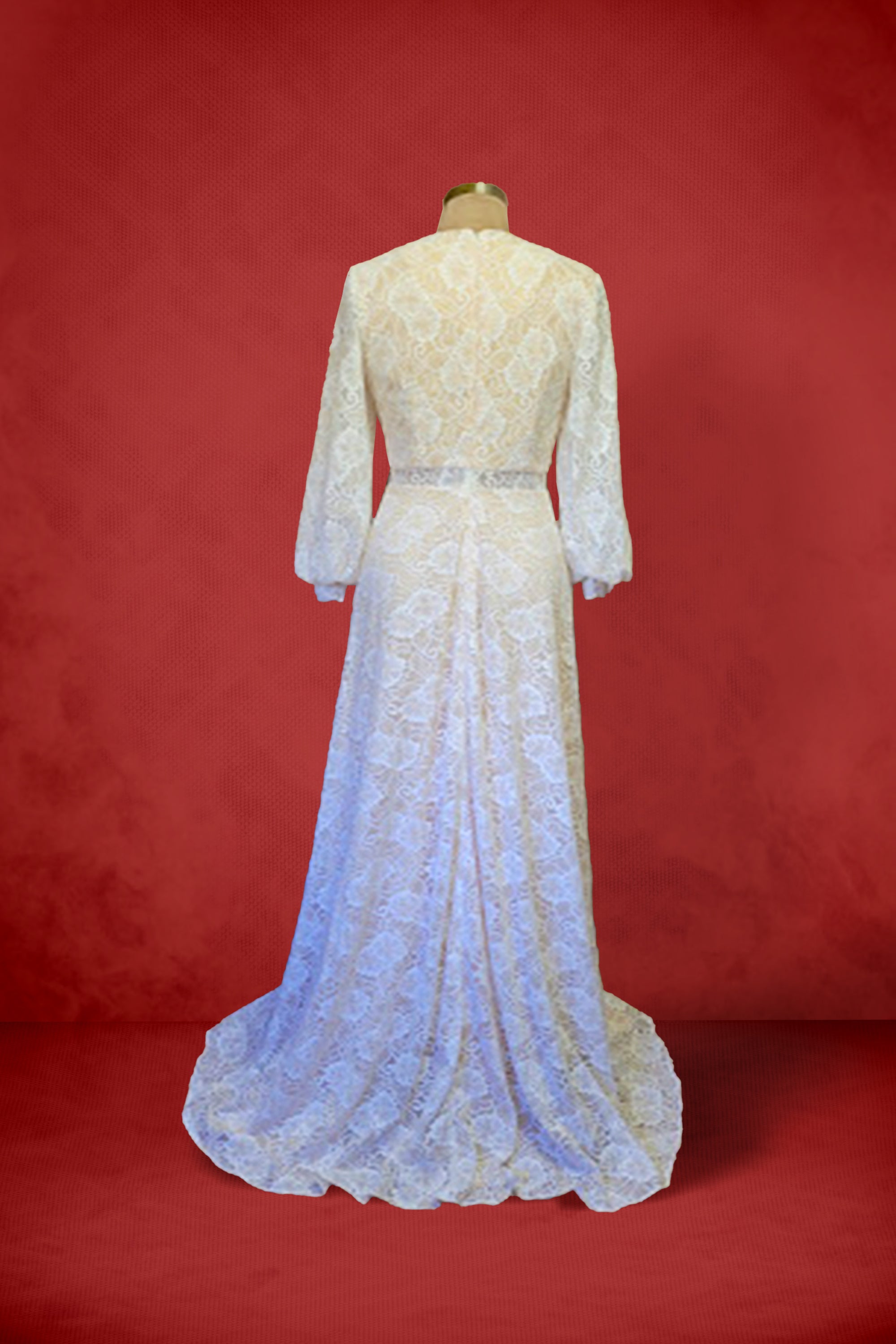 The Angelica Long Sleeve  Lace V Neck Bridal Gown