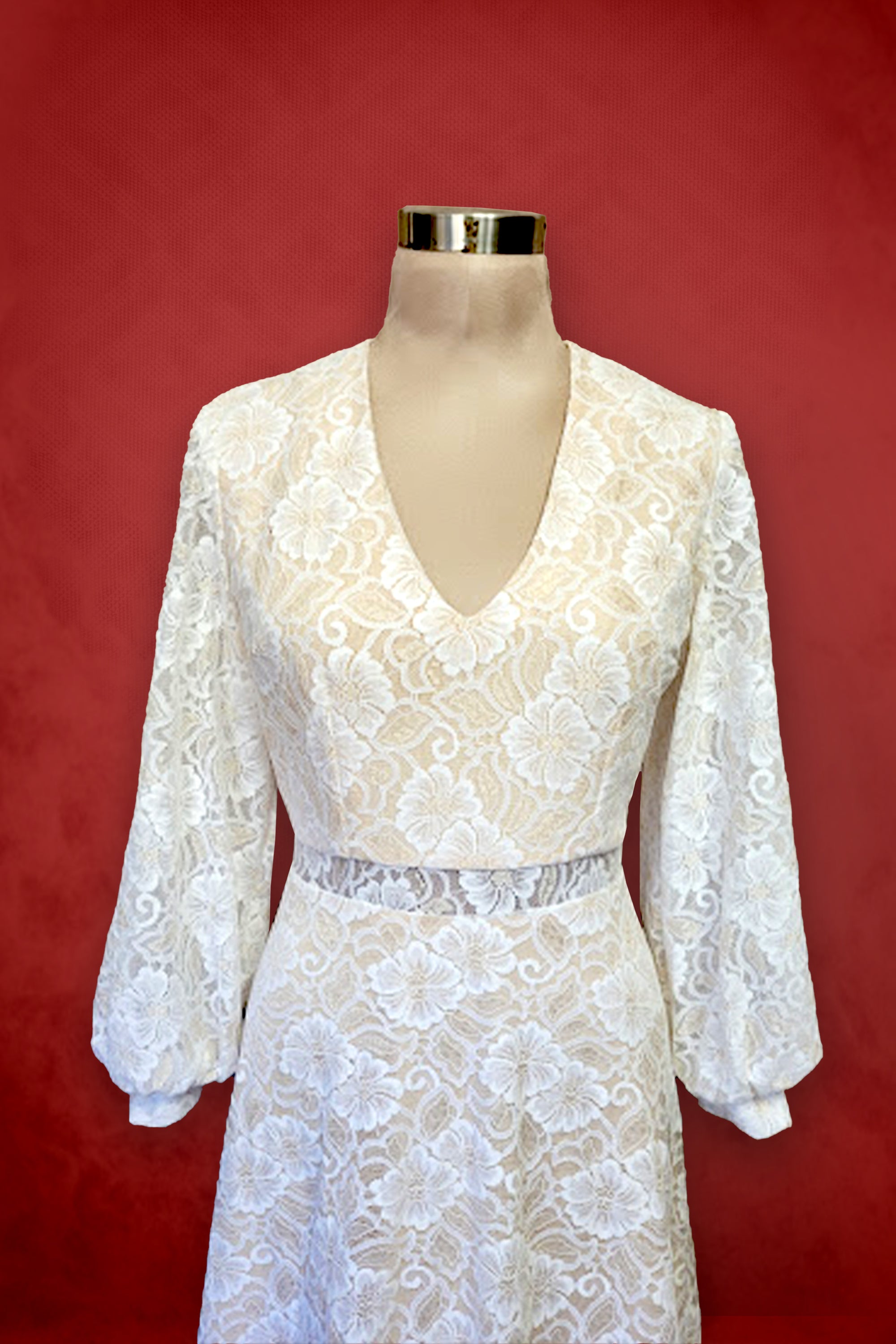 The Angelica Long Sleeve  Lace V Neck Bridal Gown